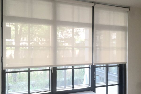 Estores de Rolo Screen